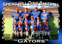 Spring Hill Dixie Baseball Fall 2021