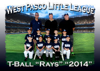 West Pasco Little League T-Ball Fall 2014