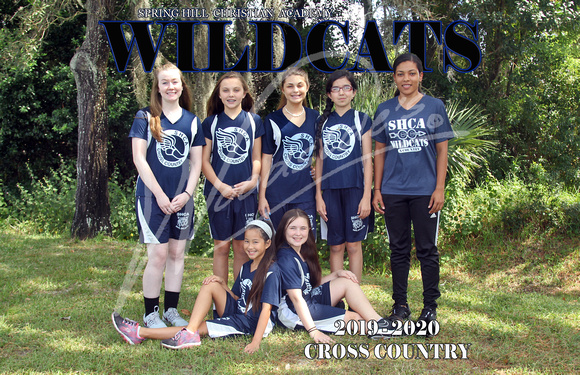 11x17 Girls cross country