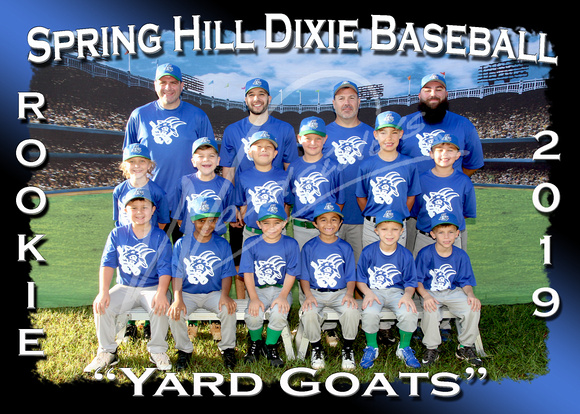 107- Rookie Yard Goats