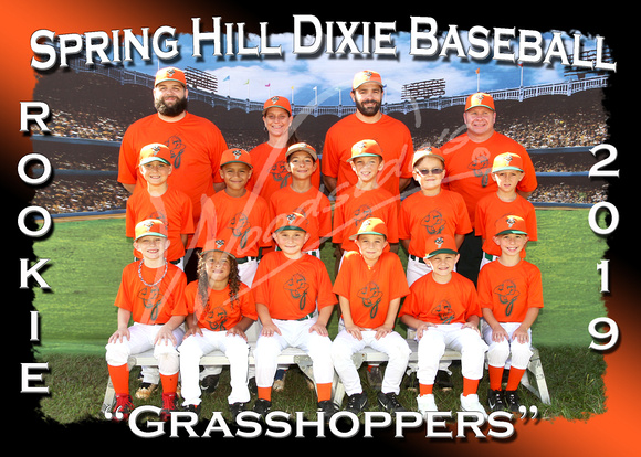 113- Rookie Grasshoppers