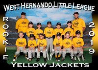 West Hernando LL Baseball Fall 2019