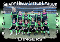 Shady Hills Little League Spring 2024