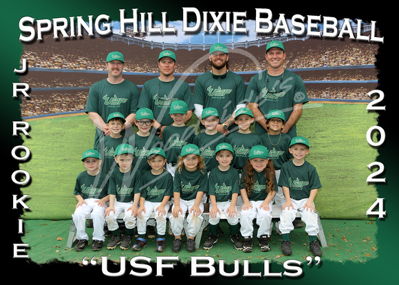117- USF Bulls