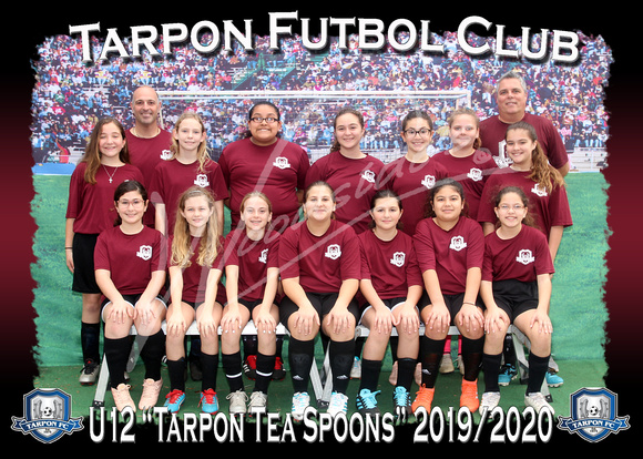 107- U12 Girls Tarpon Tea Spoons