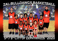 ZAL Bulldawgs Basketball 2020