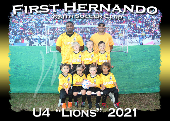 104- U4 Lions
