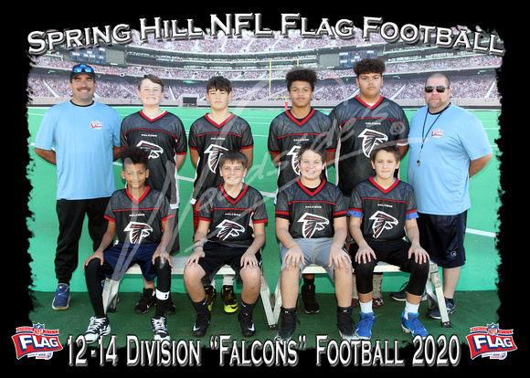 217- 12-14 Falcons