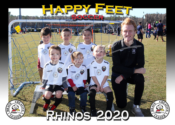 114- Rhinos