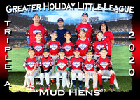 Greater Holiday Little League Spring 2020