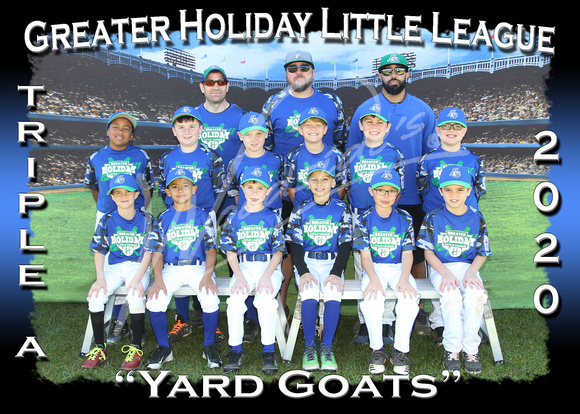 118- AAA Yard Goats