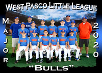 West Pasco Little League Spring Ball 2020
