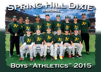 Spring Hill Dixie Spring Ball 2015