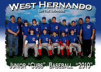 West Hernando LL 2-27-10