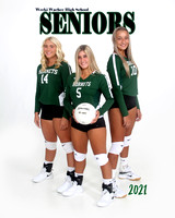 WWHS Senior Volleyball Class of 2021
