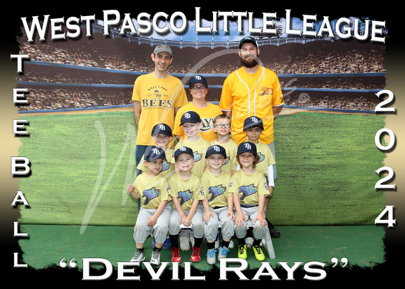 125- TBall Gold Devils Rays