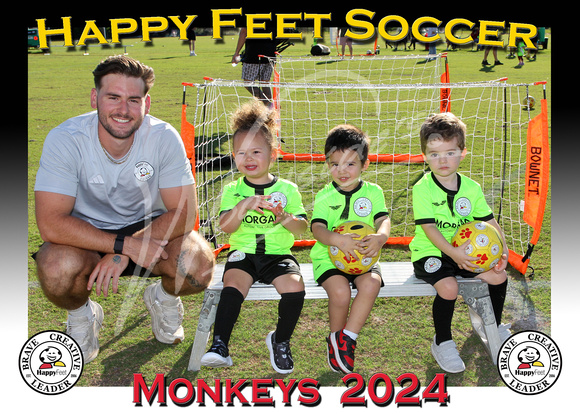 104- 2YO Monkeys