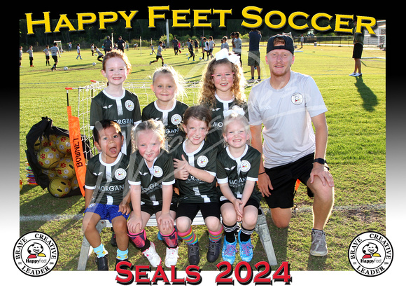 120- 3-4 Seals