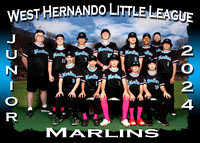 West Hernando Little League Spring 2024