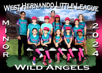 West Hernando Little League Softball Spring 2024