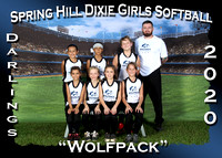 Spring Hill Dixie Girls Softball Fall 2020