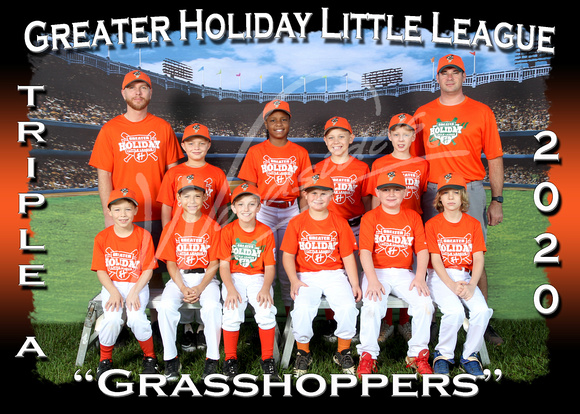 103- AAA Grasshoppers