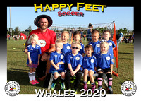 Happy Feet Starkey October 2020