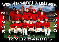 West Hernando Little League Fall 2020