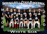 Spring Hill Dixie Baseball Fall 2020
