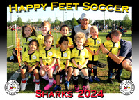 Happy Feet Land O' Lakes April 2024