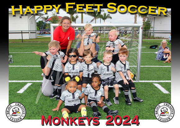 110- 2YO Monkeys