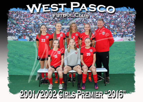 104- 2001 2002 Girls Premier