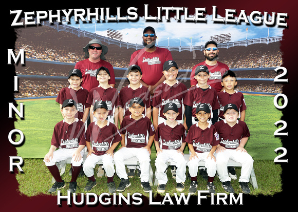 203- Minor Hudgins Law Firm