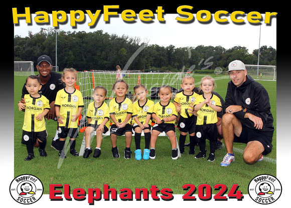 101- 2YO Elephants