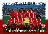 First Hernando Youth Soccer & Hernando Heat 2014