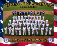 Greater Dunedin LL All Stars 2012