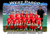 West Pasco Futbol Club 2016-Nove, 12 Collier Parkway
