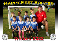 Happy Feet Land 'O Lakes September 2022