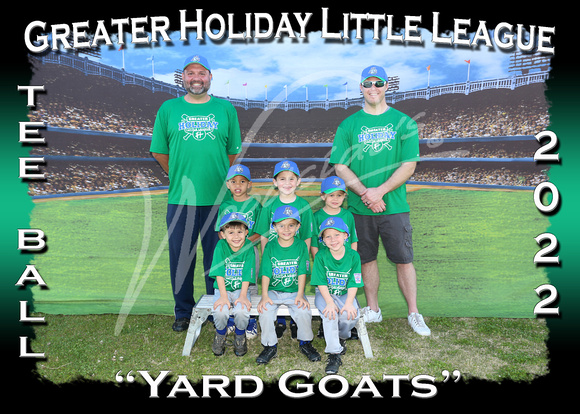 101- Tee Ball Yard Goats