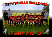 Zephyrhills Bulldogs PAL Football 2014