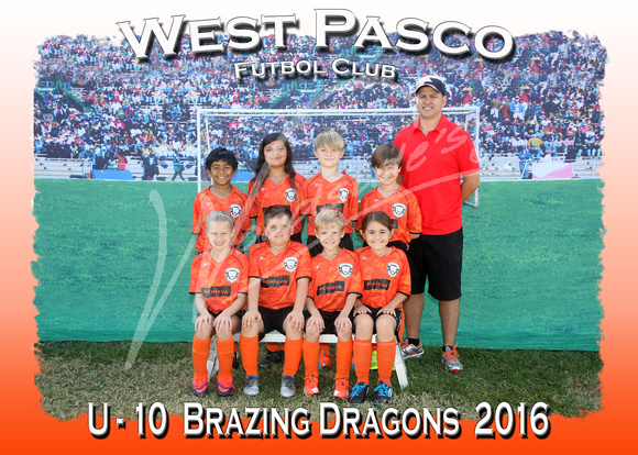116- U - 10  Brazing Dragons  2016