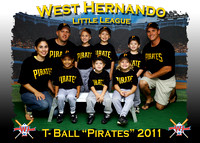West Hernando LL Fall T-Ball 2011
