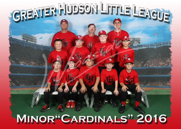 102- Minor Cardinals