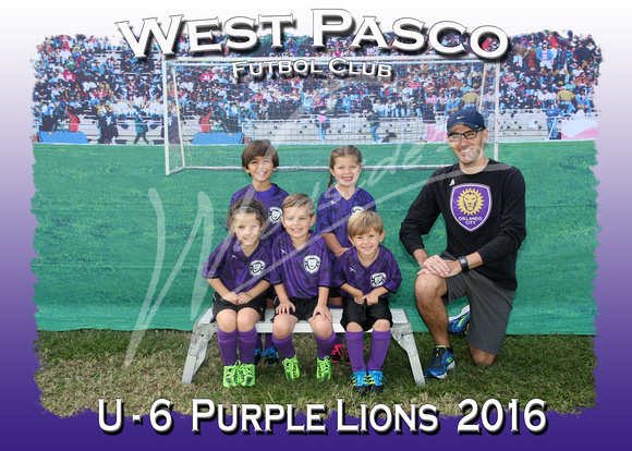 110- U - 6  Purple Lions  2016