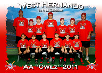 West Hernando LL BASEBALL 3-5-2011