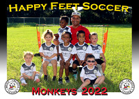 Happy Feet Brandon September 2022
