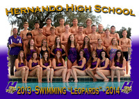 Hernando HS Swimming 2013-14