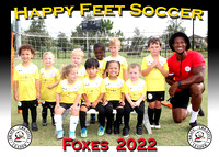 Happy Feet Starkey May 2022