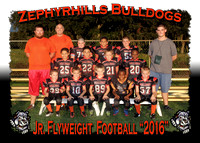 Zephyrhills Bulldogs Football 2016