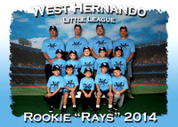 West Hernando Little League Fall 2014